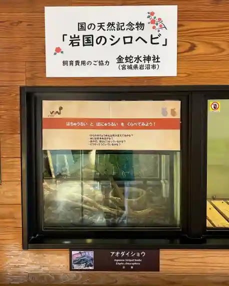 金蛇水神社(宮城県)