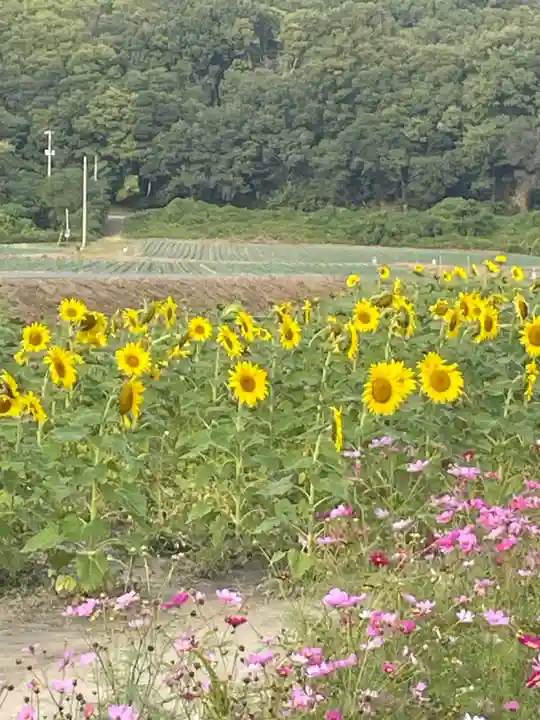 道通神社(岡山県)