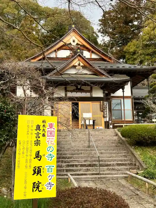 馬頭院(栃木県)