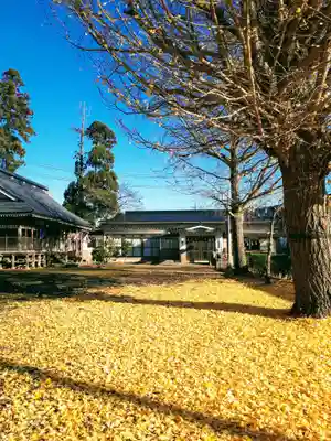 白山神社の自然