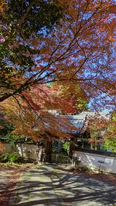 吟松寺(京都府)