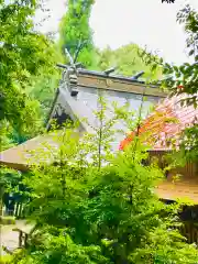 飯名神社の本殿