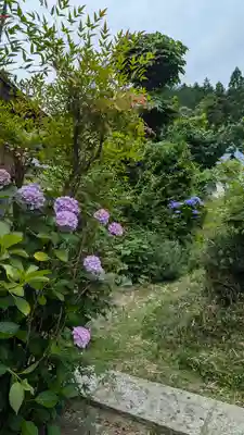 乗願寺(京都府)