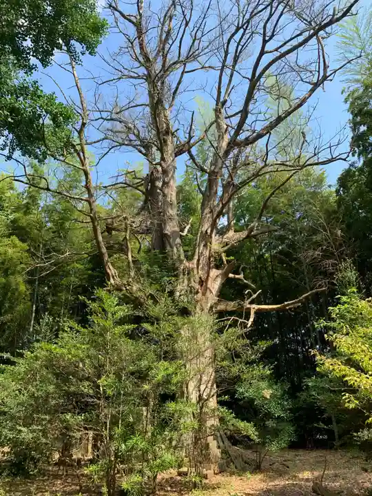 普賢院(千葉県)