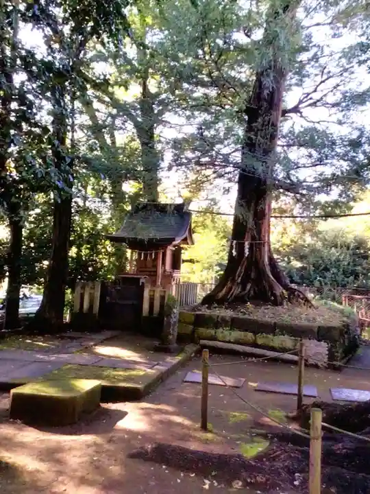諏訪神社(東京都)