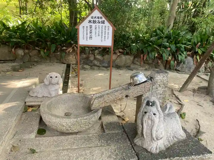 弓弦羽神社の手水舎