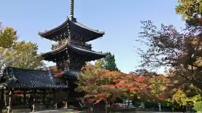 真正極楽寺(真如堂)の塔