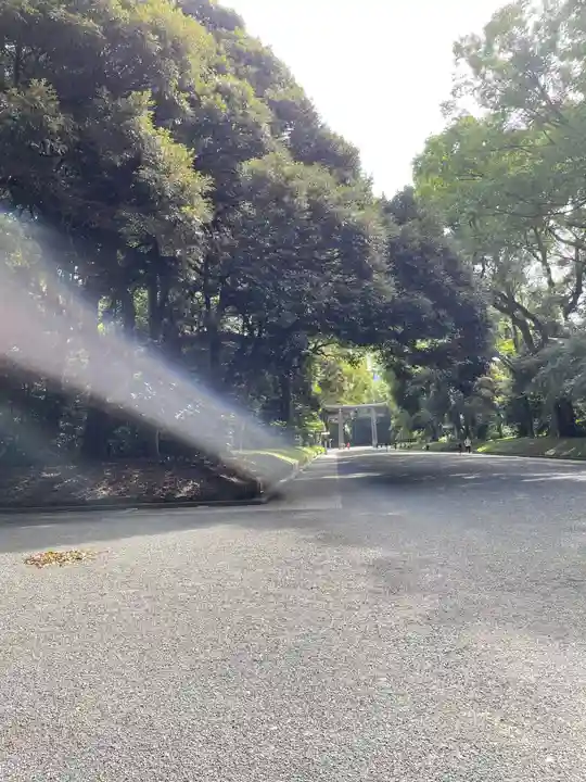 明治神宮(東京都)