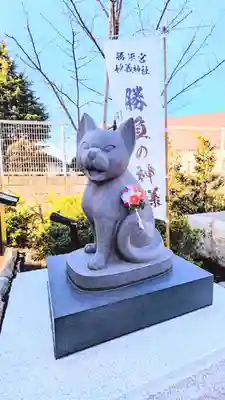 駒込妙義神社の狛犬