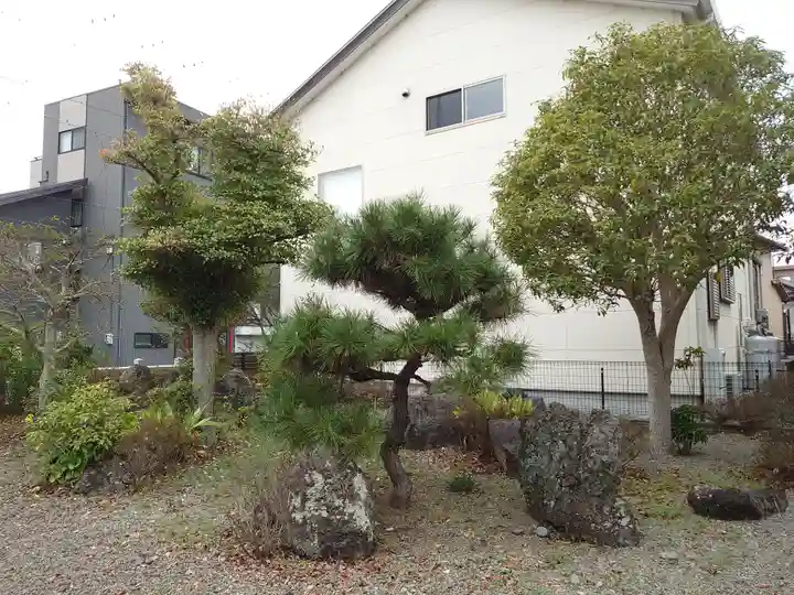 八坂神社の自然