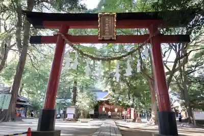 氷川女體神社(埼玉県)
