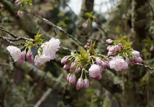 赤堂観音の自然