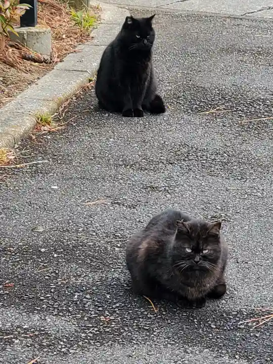 長林寺(山川長林寺)(栃木県)