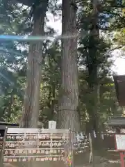 日光二荒山神社(栃木県)