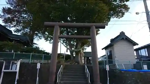 鮫八幡宮の鳥居