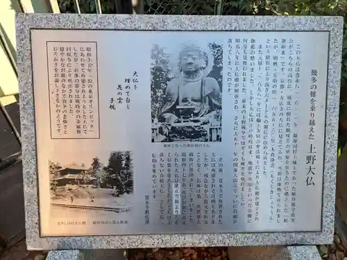 上野大佛(東京都)