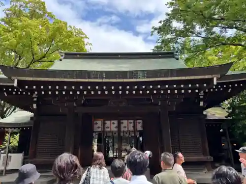 川越氷川神社(埼玉県)