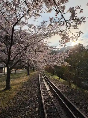 船場八幡神社の{uncategorized: "未分類", other: "その他", undefined: "問題あり", building: "その他建物", grave: "お墓", sacred_gate: "鳥居", guardian: "狛犬", statue: "像", buddha: "仏像", history: "歴史", nature: "自然", garden: "庭園", animal: "動物", pagoda: "塔", temizu: "手水舎", mountain_gate: "山門・神門", sanctuary: "本殿・本堂", subordinate: "末社・摂社", art: "芸術", scenery: "景色", jizo: "地蔵", ema: "絵馬", goshuin: "御朱印", omikuji: "おみくじ", items: "授与品その他", amulet: "お守り", goshuincho: "御朱印帳", eats: "食事", festival: "お祭り", votive_dance: "神楽", shichigosan: "七五三参", wedding: "結婚式", experience: "体験その他", initially: "初詣", around: "周辺", anti_infection: "感染症対策"}