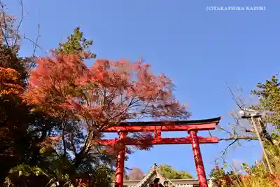 高尾山薬王院の鳥居