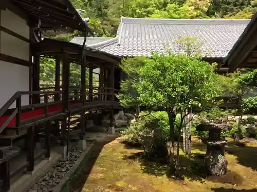 正眼寺の庭園