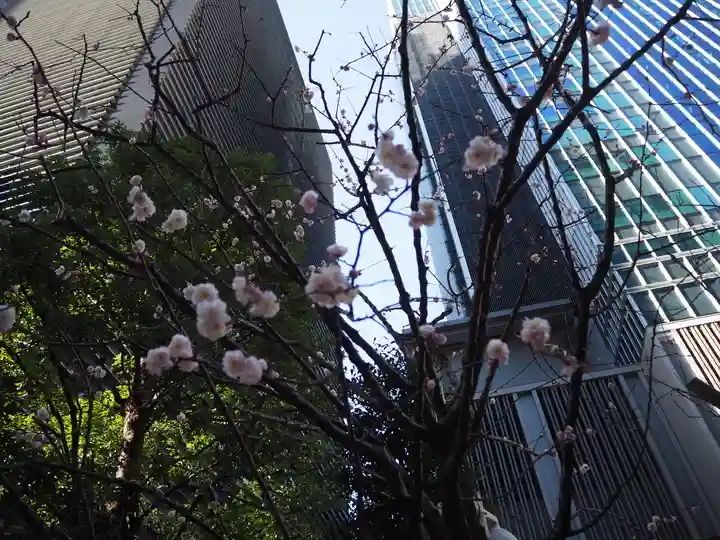 福徳神社(芽吹稲荷)の自然