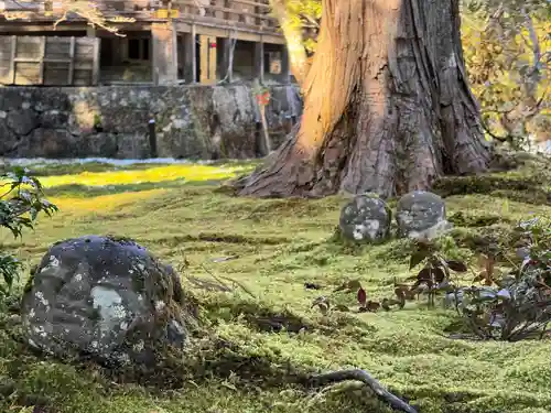 三千院門跡(京都府)
