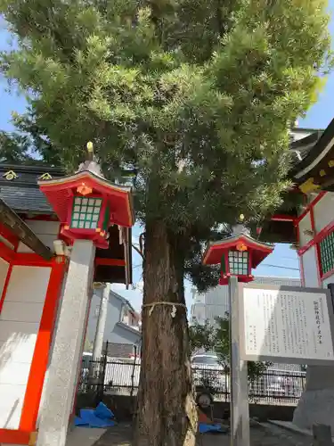 御嶽神社の自然