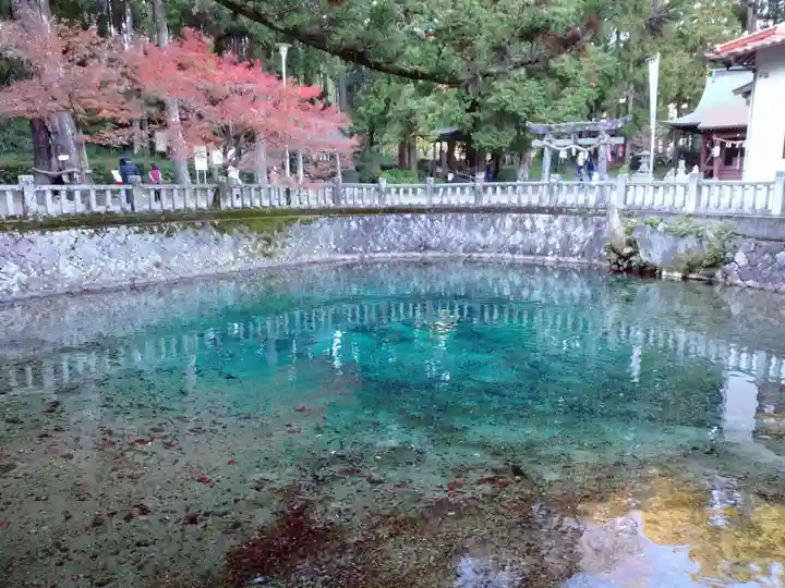嚴島神社の庭園