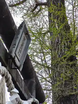 賀茂皇大神社の鳥居
