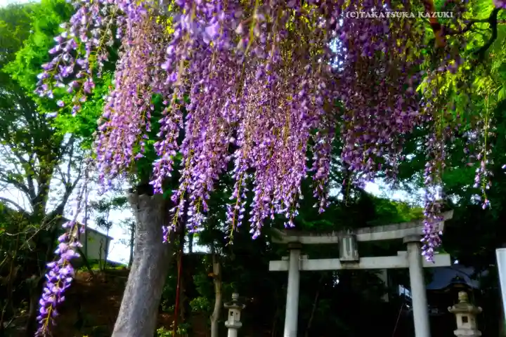 日吉神社(東京都)