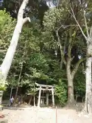 八神社の建物その他