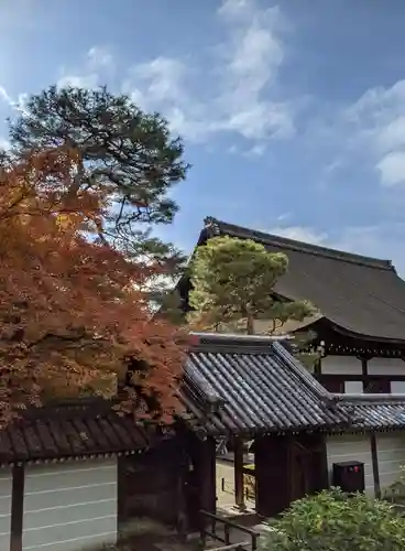 知恩院(京都府)