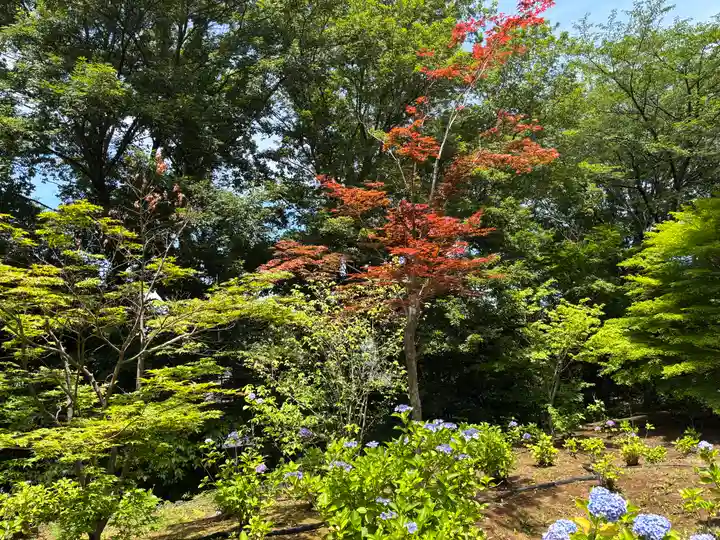 本土寺(千葉県)