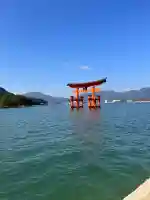 厳島神社の{uncategorized: "未分類", other: "その他", undefined: "問題あり", building: "その他建物", grave: "お墓", sacred_gate: "鳥居", guardian: "狛犬", statue: "像", buddha: "仏像", history: "歴史", nature: "自然", garden: "庭園", animal: "動物", pagoda: "塔", temizu: "手水舎", mountain_gate: "山門・神門", sanctuary: "本殿・本堂", subordinate: "末社・摂社", art: "芸術", scenery: "景色", jizo: "地蔵", ema: "絵馬", goshuin: "御朱印", omikuji: "おみくじ", items: "授与品その他", amulet: "お守り", goshuincho: "御朱印帳", eats: "食事", festival: "お祭り", votive_dance: "神楽", shichigosan: "七五三参", wedding: "結婚式", experience: "体験その他", initially: "初詣", around: "周辺", anti_infection: "感染症対策"}