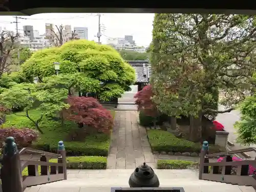 金剛寺の庭園