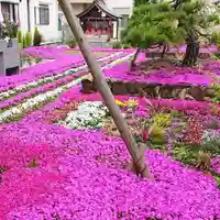 寿量山 速成寺の庭園