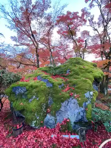 宝厳院(京都府)