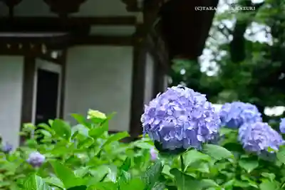妙楽寺(神奈川県)