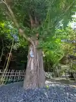 市谷亀岡八幡宮(東京都)