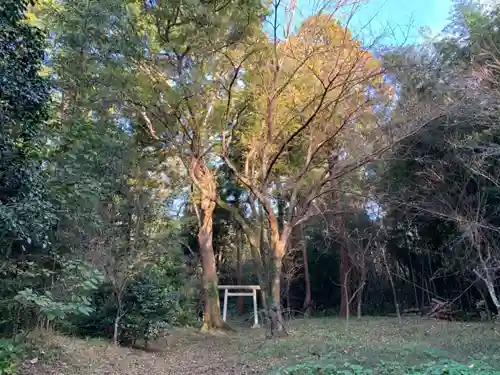 天神社の鳥居