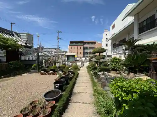 大善寺の{uncategorized: "未分類", other: "その他", undefined: "問題あり", building: "その他建物", grave: "お墓", sacred_gate: "鳥居", guardian: "狛犬", statue: "像", buddha: "仏像", history: "歴史", nature: "自然", garden: "庭園", animal: "動物", pagoda: "塔", temizu: "手水舎", mountain_gate: "山門・神門", sanctuary: "本殿・本堂", subordinate: "末社・摂社", art: "芸術", scenery: "景色", jizo: "地蔵", ema: "絵馬", goshuin: "御朱印", omikuji: "おみくじ", items: "授与品その他", amulet: "お守り", goshuincho: "御朱印帳", eats: "食事", festival: "お祭り", votive_dance: "神楽", shichigosan: "七五三参", wedding: "結婚式", experience: "体験その他", initially: "初詣", around: "周辺", anti_infection: "感染症対策"}