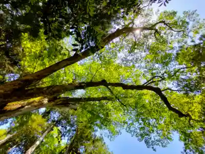 丹生川上神社（下社）(奈良県)