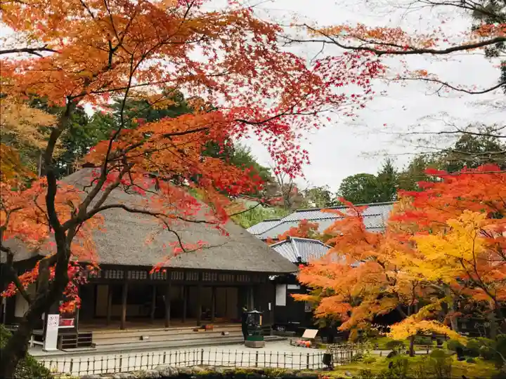 円通院の本殿・本堂