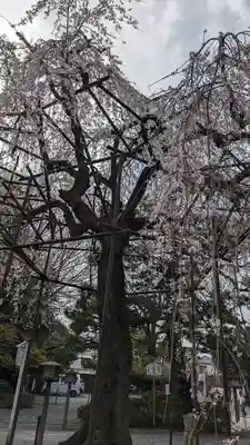大報恩寺（千本釈迦堂）(京都府)