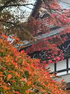 関善光寺(岐阜県)(2024年12月04日(水) 10時29分01秒投稿)