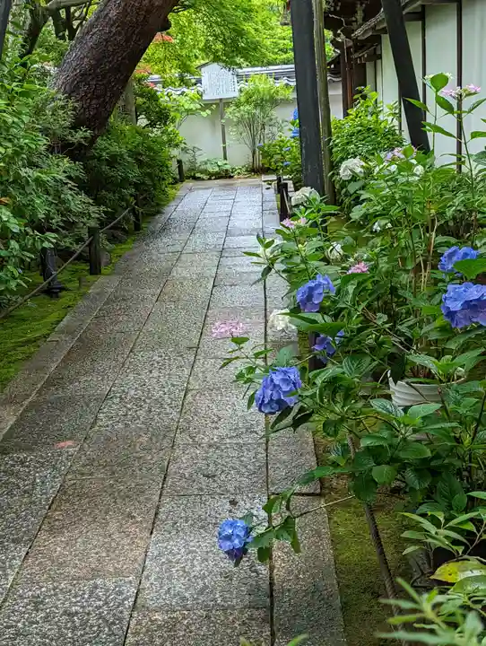 退蔵院(京都府)
