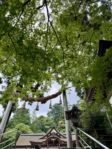 大神神社の{uncategorized: "未分類", other: "その他", undefined: "問題あり", building: "その他建物", grave: "お墓", sacred_gate: "鳥居", guardian: "狛犬", statue: "像", buddha: "仏像", history: "歴史", nature: "自然", garden: "庭園", animal: "動物", pagoda: "塔", temizu: "手水舎", mountain_gate: "山門・神門", sanctuary: "本殿・本堂", subordinate: "末社・摂社", art: "芸術", scenery: "景色", jizo: "地蔵", ema: "絵馬", goshuin: "御朱印", omikuji: "おみくじ", items: "授与品その他", amulet: "お守り", goshuincho: "御朱印帳", eats: "食事", festival: "お祭り", votive_dance: "神楽", shichigosan: "七五三参", wedding: "結婚式", experience: "体験その他", initially: "初詣", around: "周辺", anti_infection: "感染症対策"}