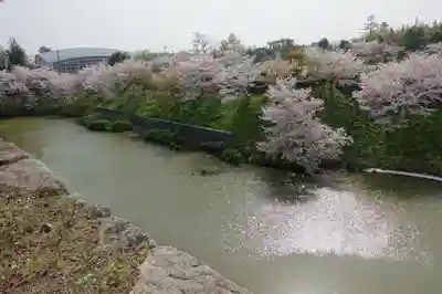 柳澤神社の周辺