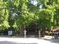 興野神社(東京都)