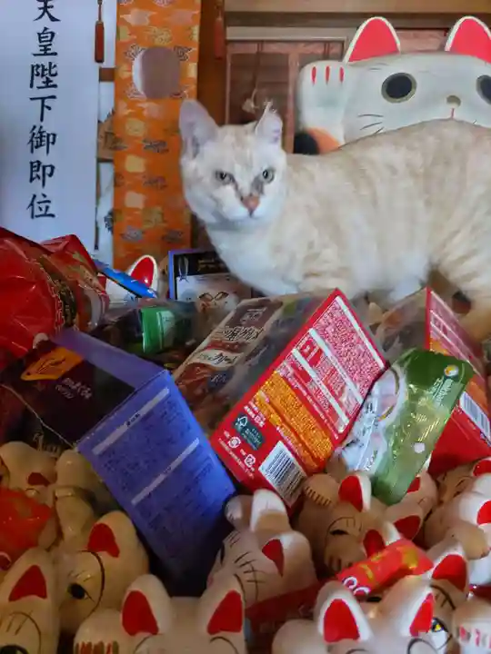 王子神社の動物